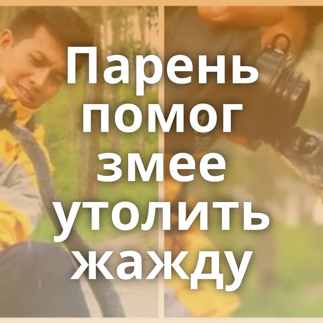 Парень помог змее утолить жажду