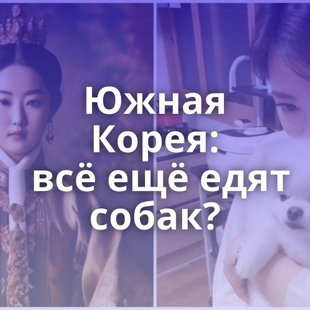 Южная Корея: всё ещё едят собак?