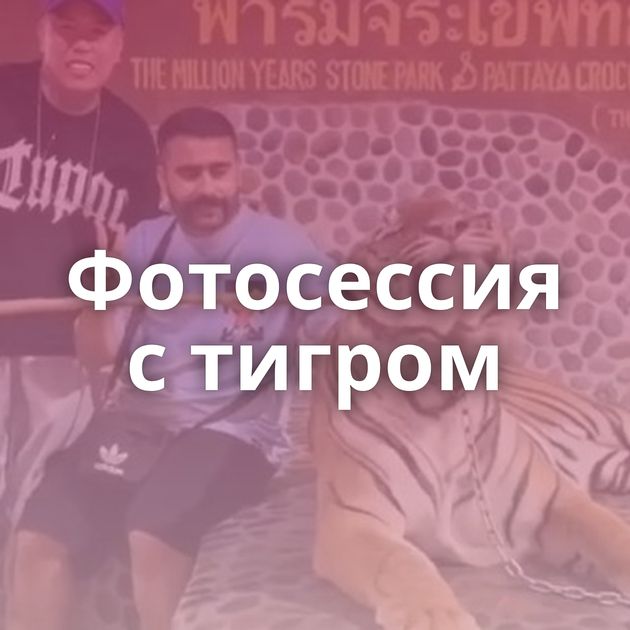 Фотосессия с тигром
