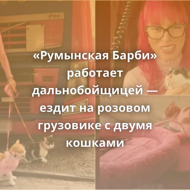 «Румынская Барби» работает дальнобойщицей — ездит на розовом грузовике с двумя кошками