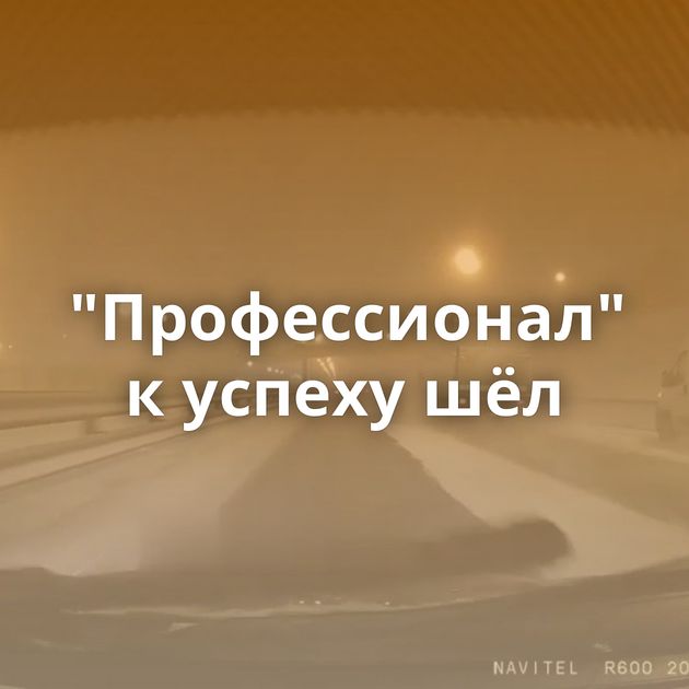"Профессионал" к успеху шёл