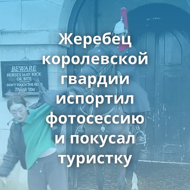 Жеребец королевской гвардии испортил фотосессию и покусал туристку