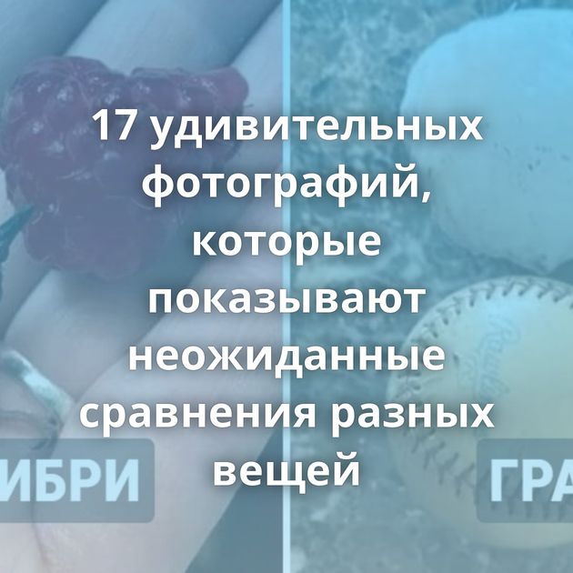 17 удивительных фотографий, которые показывают неожиданные сравнения разных вещей