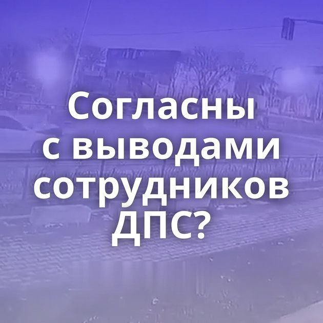 Согласны с выводами сотрудников ДПС?