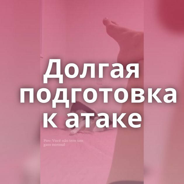 Долгая подготовка к атаке