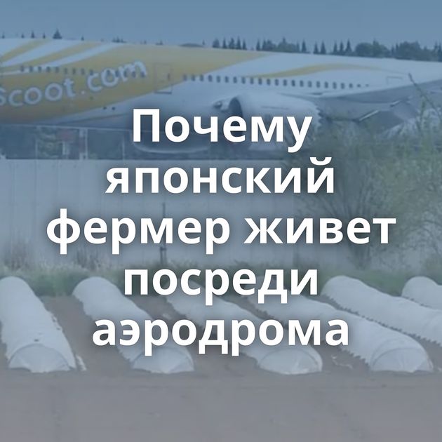 Почему японский фермер живет посреди аэродрома