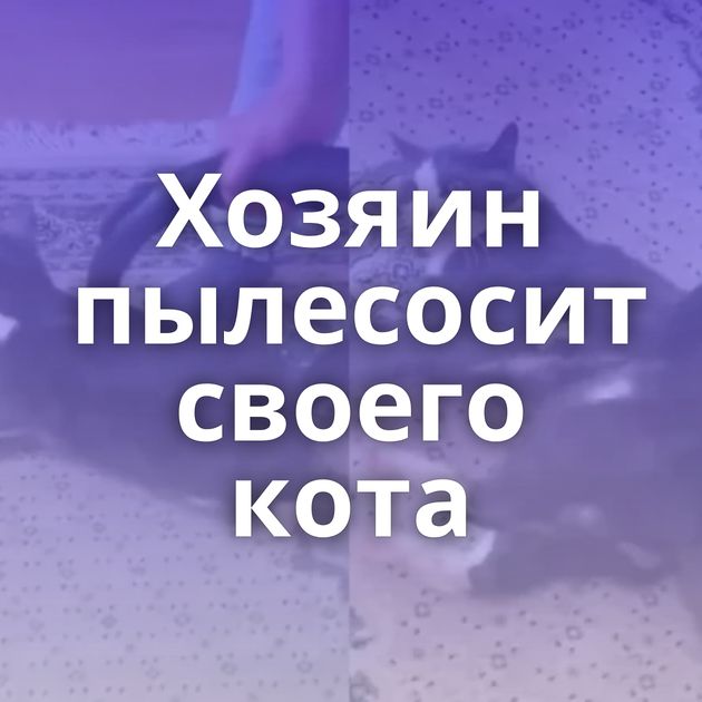 Хозяин пылесосит своего кота