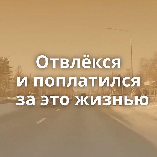 Отвлёкся и поплатился за это жизнью