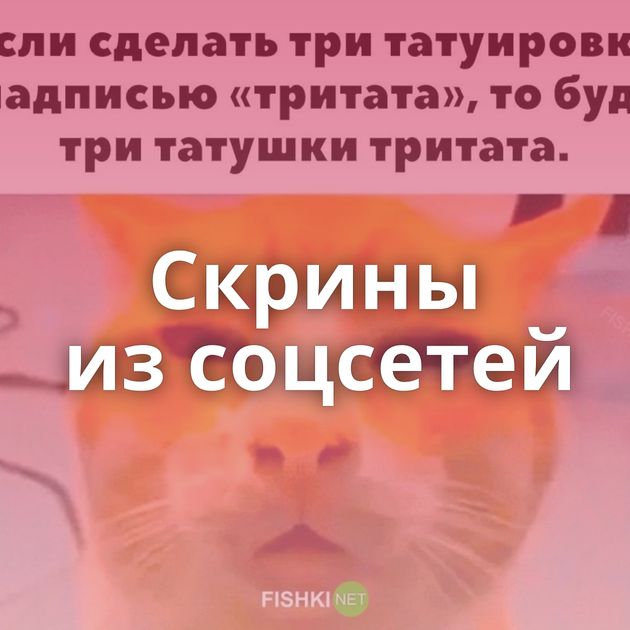 Скрины из соцсетей 
