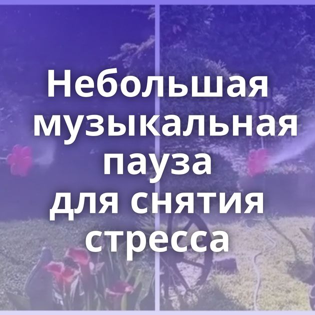 Небольшая музыкальная пауза для снятия стресса