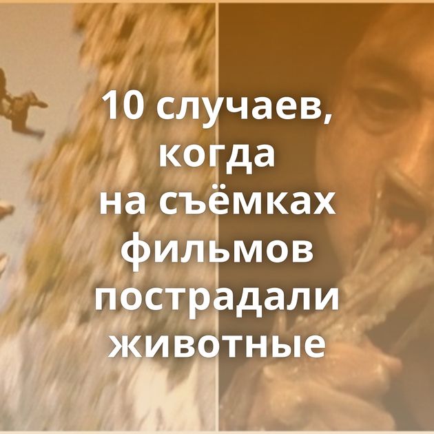 10 случаев, когда на съёмках фильмов пострадали животные