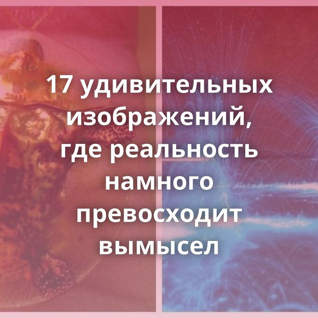 17 удивительных изображений, где реальность намного превосходит вымысел