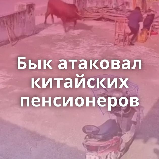 Бык атаковал китайских пенсионеров