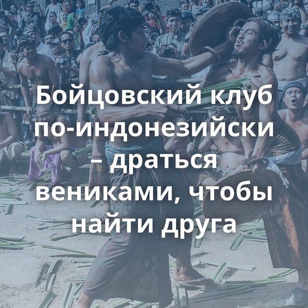 Бойцовский клуб по-индонезийски – драться вениками, чтобы найти друга
