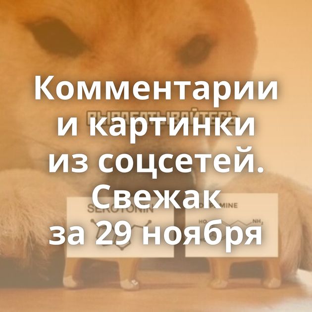 Комментарии и картинки из соцсетей. Свежак за 29 ноября