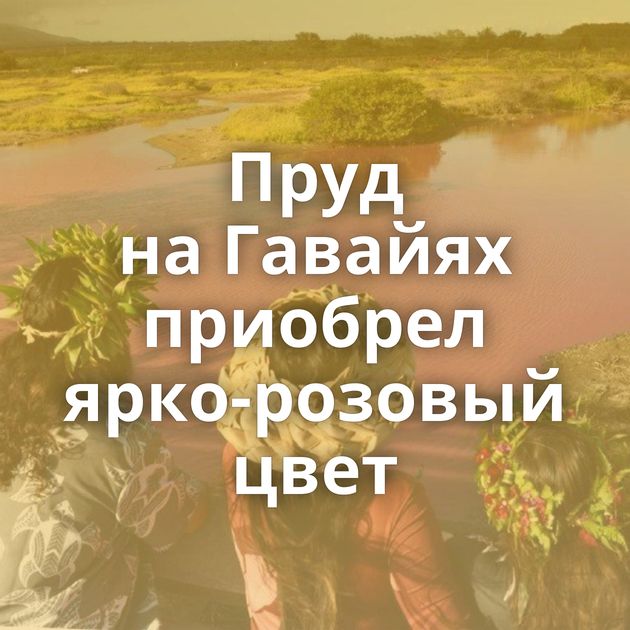 Пруд на Гавайях приобрел ярко-розовый цвет
