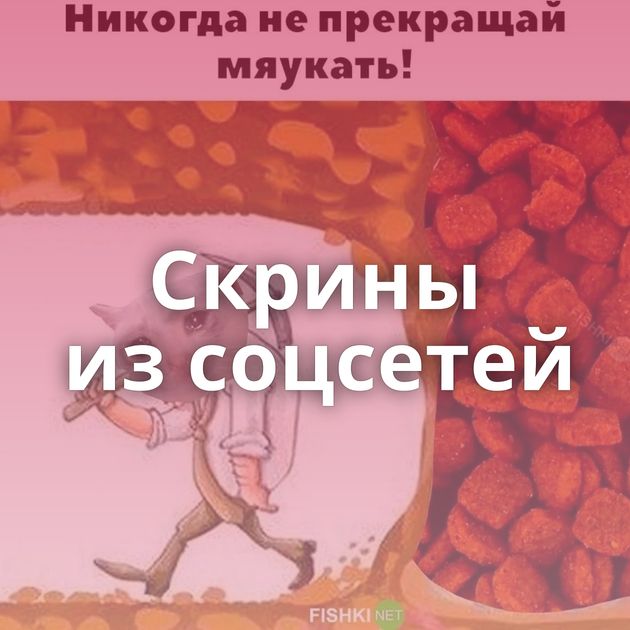 Скрины из соцсетей 