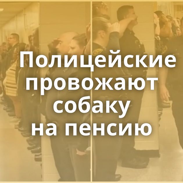 Полицейские провожают собаку на пенсию