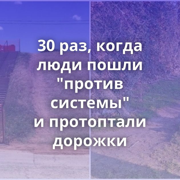 30 раз, когда люди пошли "против системы" и протоптали дорожки