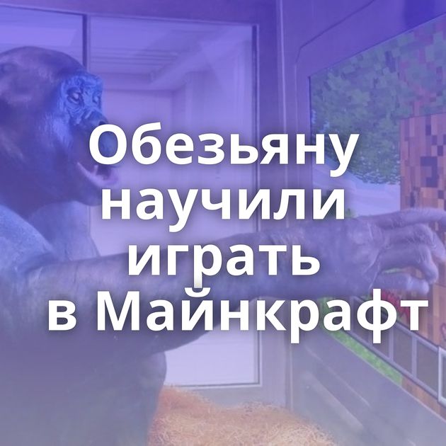 Обезьяну научили играть в Майнкрафт