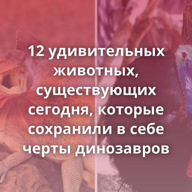 12 удивительных животных, существующих сегодня, которые сохранили в себе черты динозавров