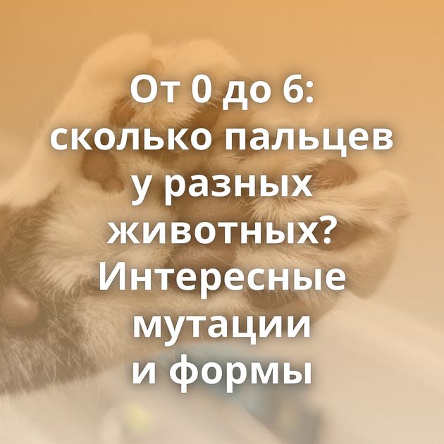 От 0 до 6: сколько пальцев у разных животных? Интересные мутации и формы