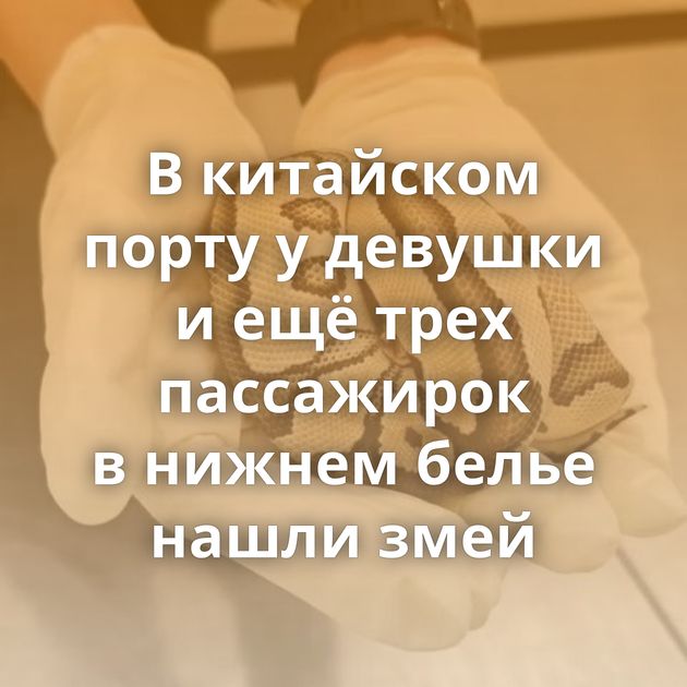 В китайском порту у девушки и ещё трех пассажирок в нижнем белье нашли змей