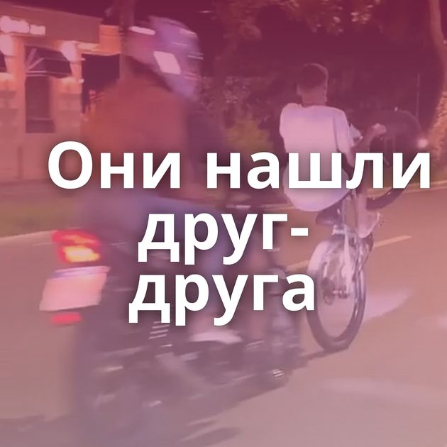 Они нашли друг-друга