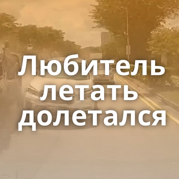 Любитель летать долетался
