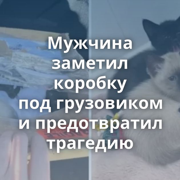 Мужчина заметил коробку под грузовиком и предотвратил трагедию