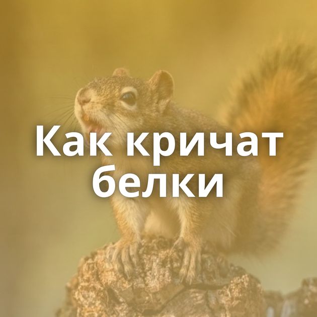 Как кричат белки