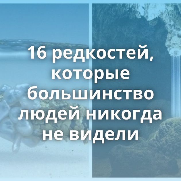 16 редкостей, которые большинство людей никогда не видели