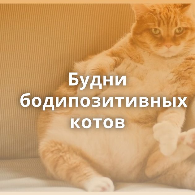 Будни бодипозитивных котов