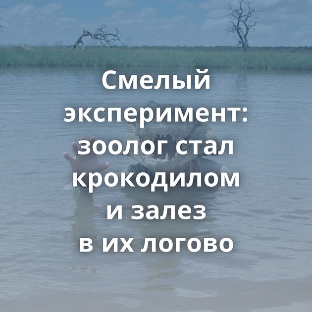 Смелый эксперимент: зоолог стал крокодилом и залез в их логово