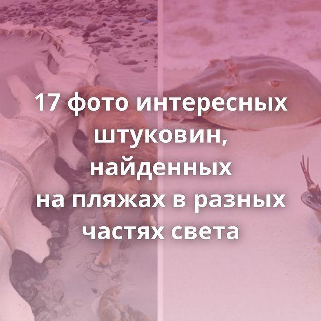 17 фото интересных штуковин, найденных на пляжах в разных частях света