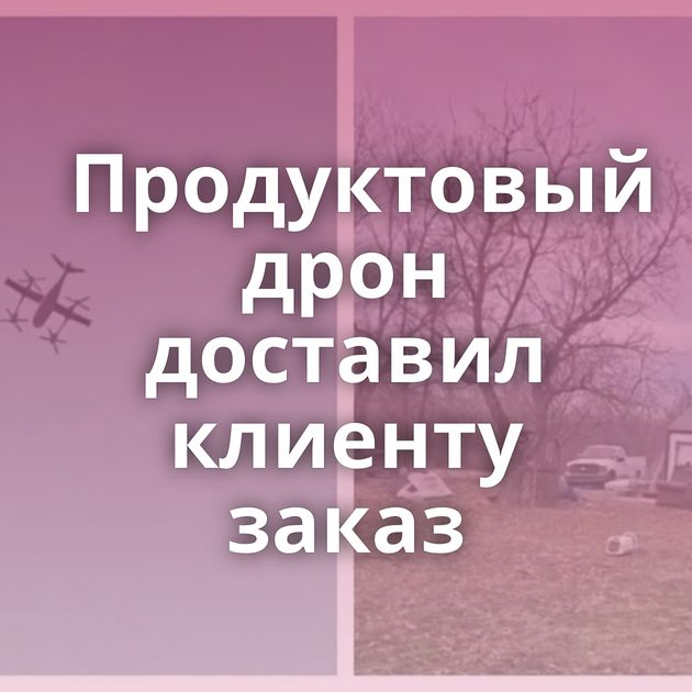 Продуктовый дрон доставил клиенту заказ