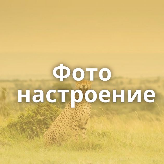 Фото настроение