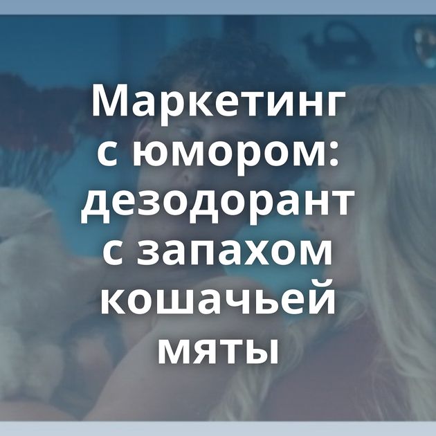 Маркетинг с юмором: дезодорант с запахом кошачьей мяты