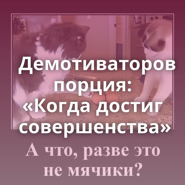 Демотиваторов порция: «Когда достиг совершенства»