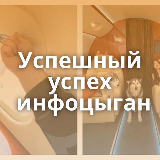 Успешный успех инфоцыган