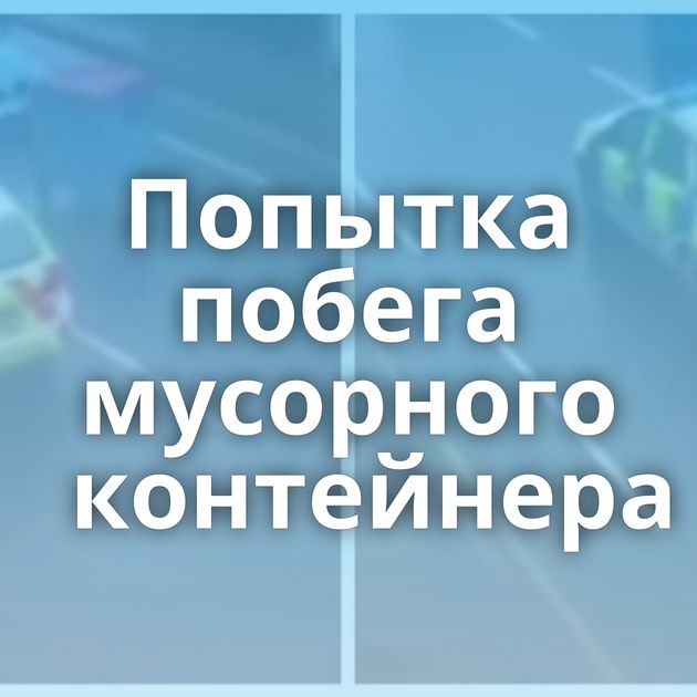 Попытка побега мусорного контейнера