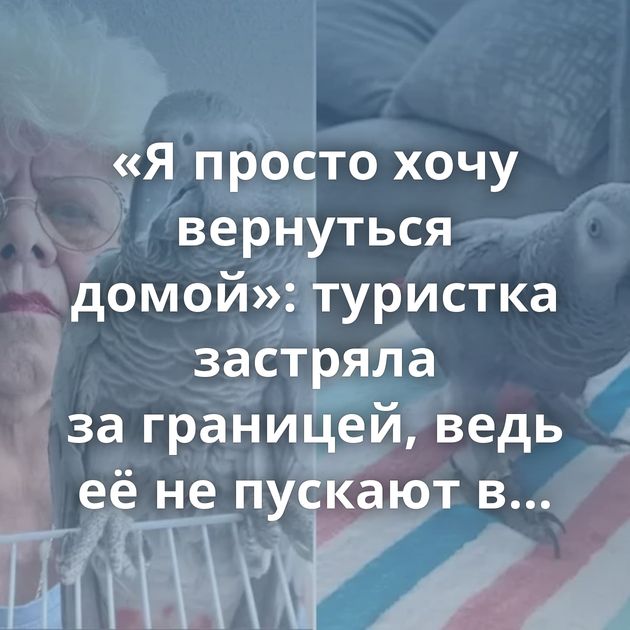 «Я просто хочу вернуться домой»: туристка застряла за границей, ведь её не пускают в самолёт с попугаем