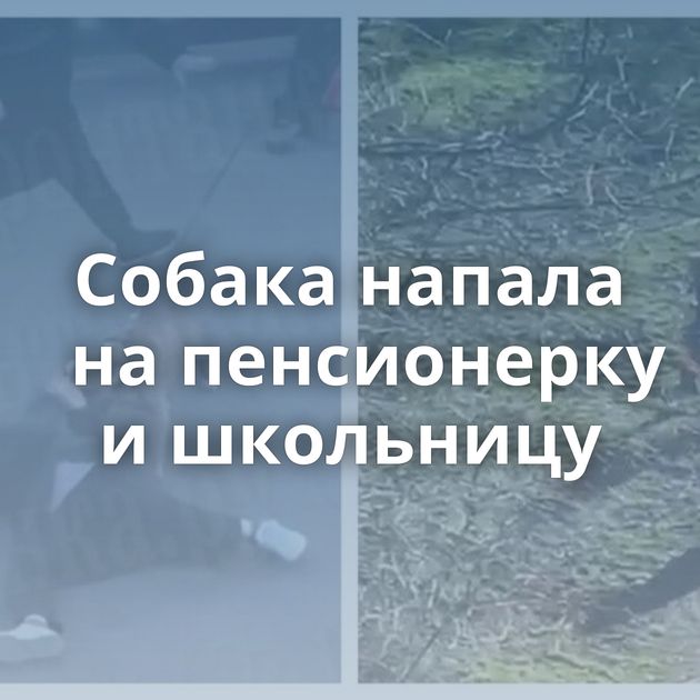 Собака напала на пенсионерку и школьницу