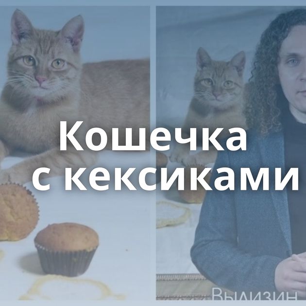 Кошечка с кексиками