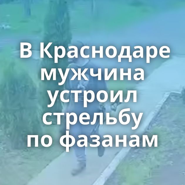 В Краснодаре мужчина устроил стрельбу по фазанам