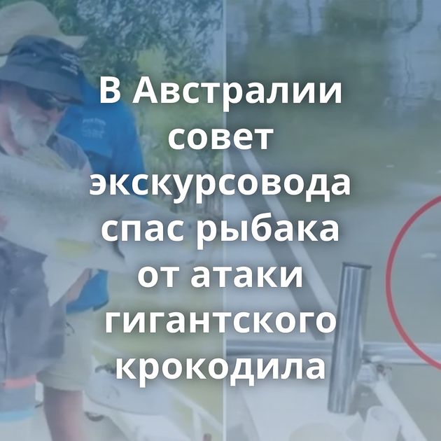 В Австралии совет экскурсовода спас рыбака от атаки гигантского крокодила
