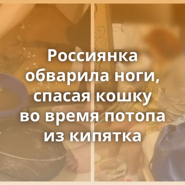 Россиянка обварила ноги, спасая кошку во время потопа из кипятка