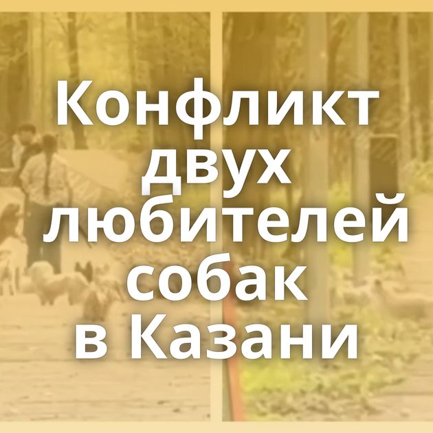 Конфликт двух любителей собак в Казани