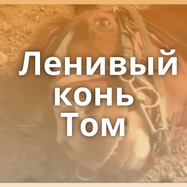 Ленивый конь Том