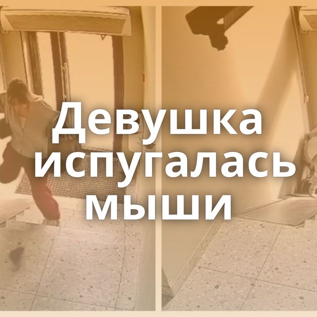Девушка испугалась мыши